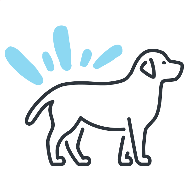 Prepare your pup for washing graphic.