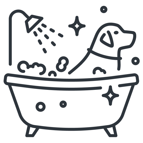 Select your suds graphic.