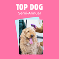 Top Dog
